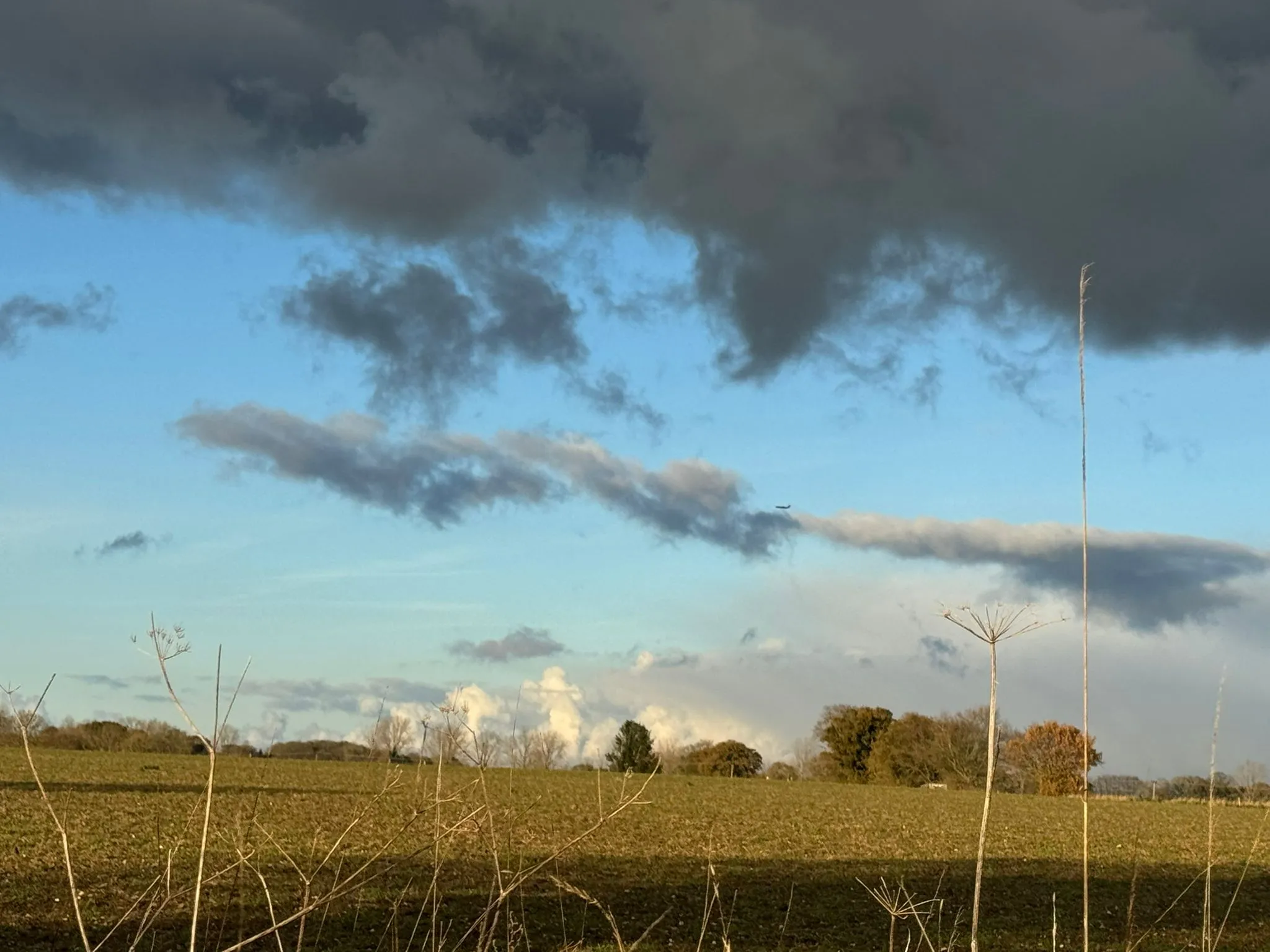 Rural Norfolk landscape near Church Farm Barns